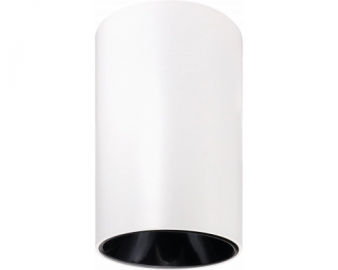 2042 SPOT TOPIC ALUMINIJUM WHITE-BLACK GU10  IP20